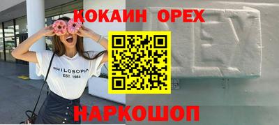 дживик Моздок